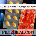 5Gm Kamagra 100Mg Oral Jelly new01